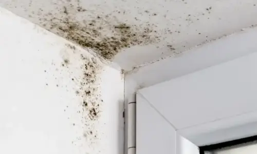 Black mould on walls due to poor insulation of solid walls